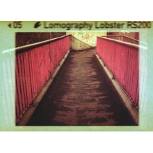 Película 110 Lobster Redscale de Lomography