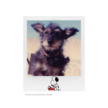 Película Polaroid i-Type Peanuts Snoopy