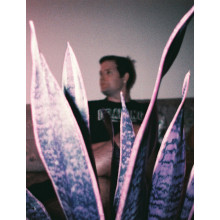 Película 110 Purple XR 100-400 de Lomography en stock en Madrid