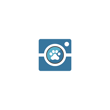 Compra Fotos Agility DogQuijote