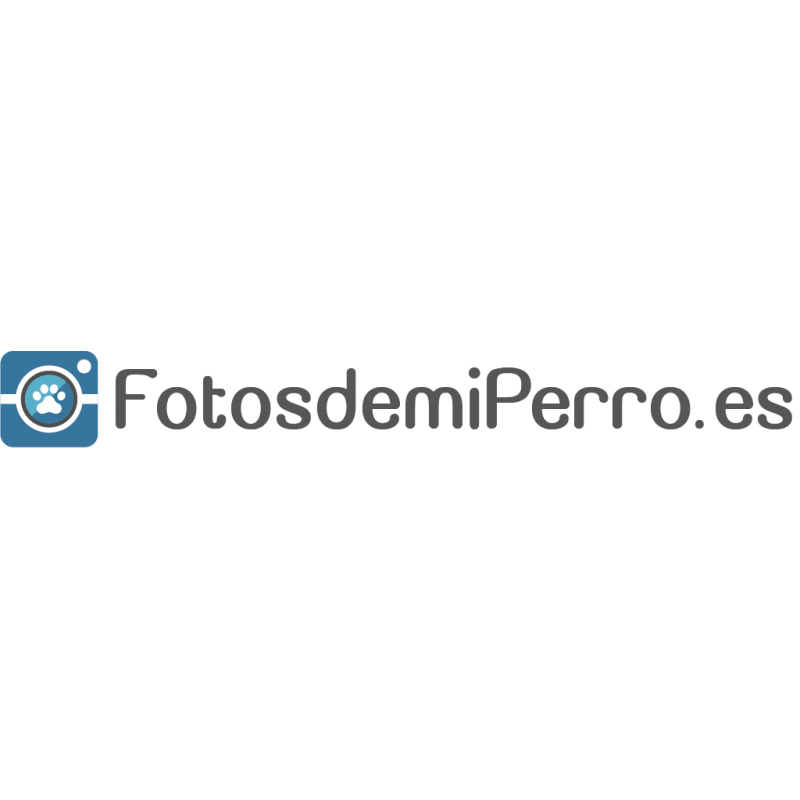 Fotosdemiperro.es Fotos de Agility