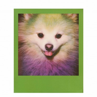 Comprar Película Color 600 Marcos de Colores de Polaroid Originals