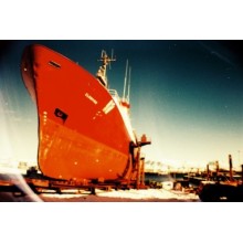 La Sardina 8Ball de Lomography