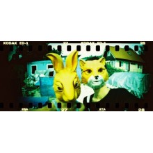 Sprocket Rocket de Lomography