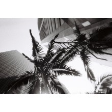 Cámara de un uso Blanco y Negro 400 ISO de Lomography