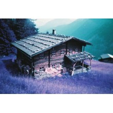 Cámara de un uso Purple 400 ISO de Lomography