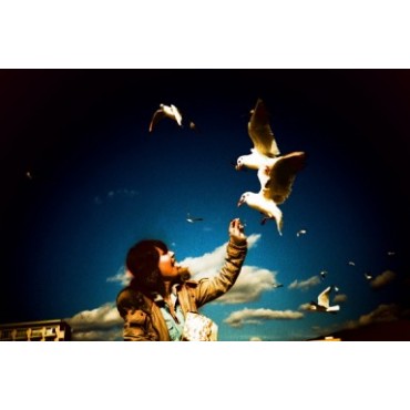 LCA+ de Lomography