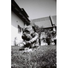 Película Blanco y Negro 100 ISO 35mm Pack de 3 de Lomography